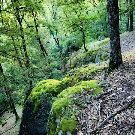 Roenk - Rostalloi Turistahaz Es Latogatokoezpont